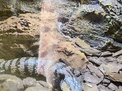 -海南热带野生动植物园