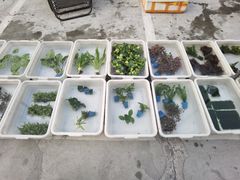 -华声天桥民俗文化园