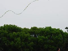 -蠡湖大桥公园