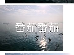 -西昌邛海湿地