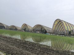 -中国天府农业博览园