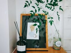 -上海月星家居(澳门路店)