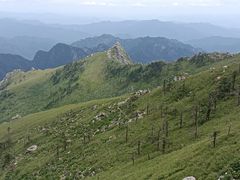 -秦岭风景区