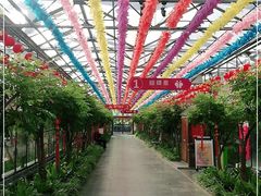 -南宫五洲植物乐园