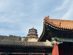 -宫事颐庭·老佛爷贵寿下午茶(颐和园店)