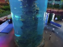 -青岛嘉年华主题乐园