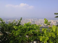 -风云岭森林公园