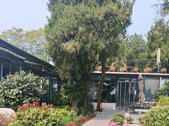 -蘇河湾·新鲁菜·泰山宴(泰山店)