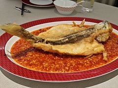 -圆苑(静安寺店)