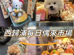 -西归浦每天偶来市场