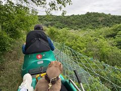 -大青沟风景区