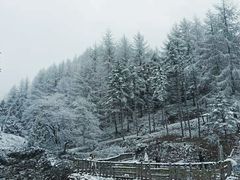 -硗碛藏寨·神木垒景区