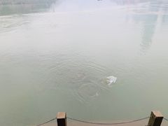 -中国宜宾·长江地标广场