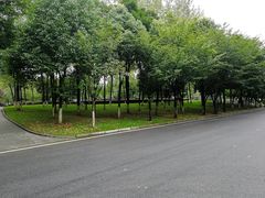 -西南政法大学(渝北校区)
