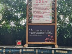 -弘安丽水温泉酒店