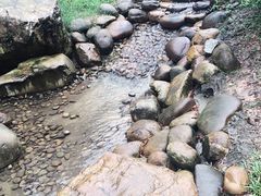 -火炉山森林公园