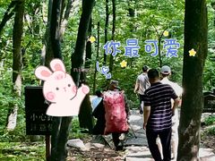 -三块石国家森林公园