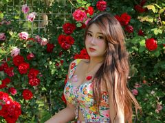 -太阳宫公园