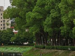 -宝岛公园
