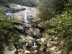 -青峰峡国家森林公园