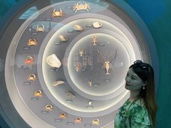 -中国湿地博物馆