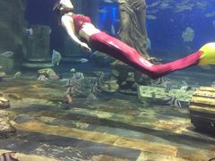 -梦幻海洋王国(吾悦广场张家港店)