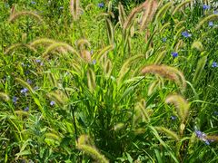 -潭柘厚院&山顶烤肉(潭柘寺店)