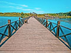 -溱湖国家湿地公园