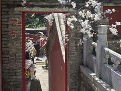 -潭柘寺景区