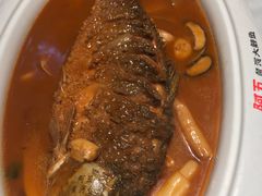 -阿五黄河大鲤鱼(纬三路店)