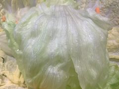 蔬菜拼盘-仁和四季涮肉馆(天坛南门店)