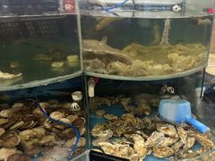 -鑫渔港海鲜本地菜·山海关浑锅(东戴河店)