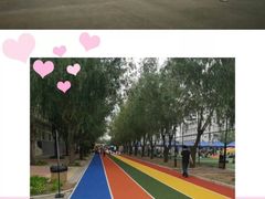 -上海市世外小学