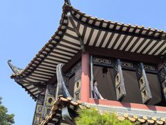 -碧江金楼