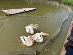 -宁波杭州湾国家湿地公园