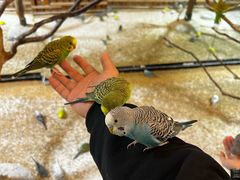 -上海昆虫博物馆