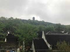 -忆秦园小笼包(惠山古镇总店)
