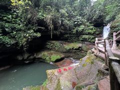 -碧峰峡风景区