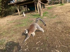 -宁波野生动物园