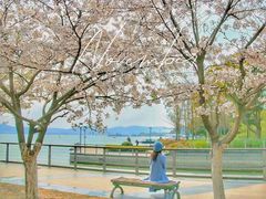 -蠡湖大桥公园