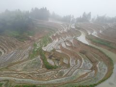 -紫鹊界梯田景区