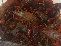 -同銮特种养殖场·龙虾垂钓