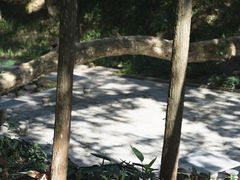 -广州市流溪河国家森林公园