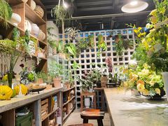 -自由生长植物工作室(深港花卉中心店)