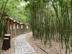 -同里国家湿地公园