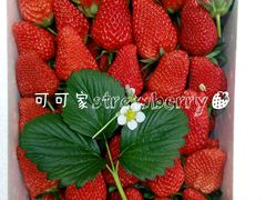 -乐天影城(威高广场店)