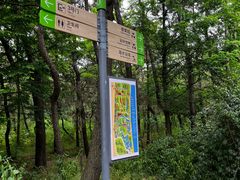 -日照海滨国家森林公园