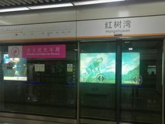 -红树湾(地铁站)