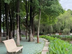 -金砂公园