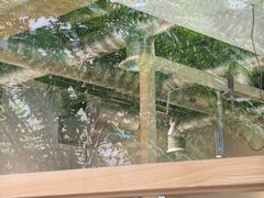 -喜茶(上海打浦桥日月光gelato lab+店)